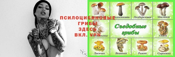 spice Новодвинск