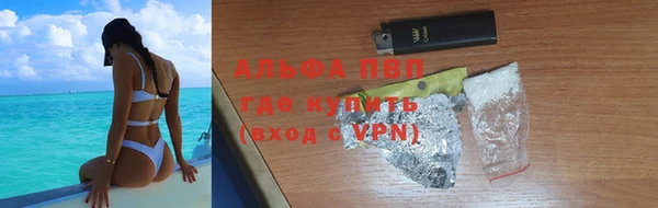 spice Новодвинск