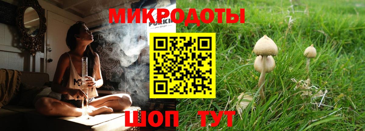 Псилоцибиновые грибы ЛСД  Вход с VPN  Подольск  купить закладку  Галлюциногенные грибы мицелий 