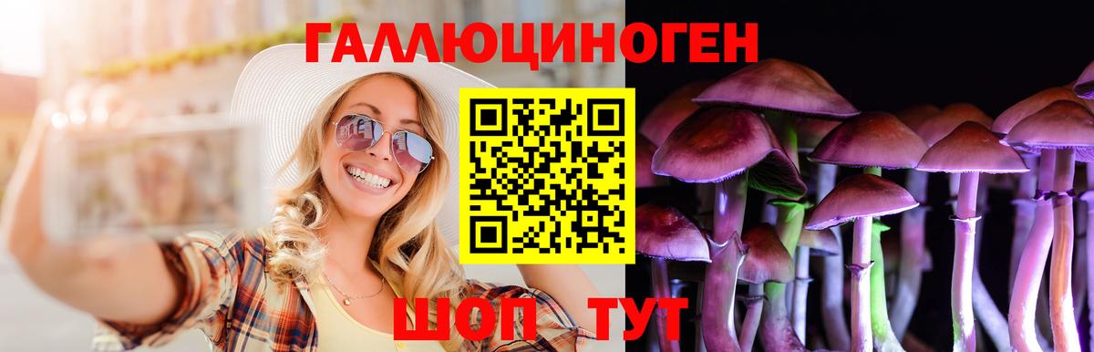 Галлюциногенные грибы Psilocybine cubensis Подольск