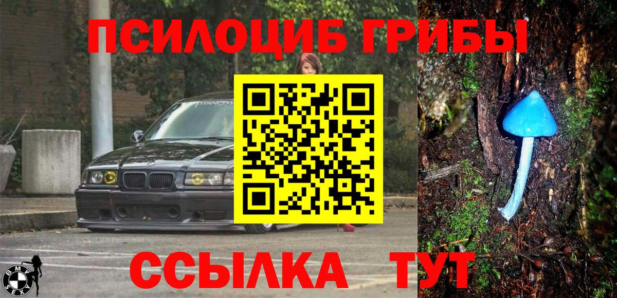 Галлюциногенные грибы прущие грибы  Подольск 