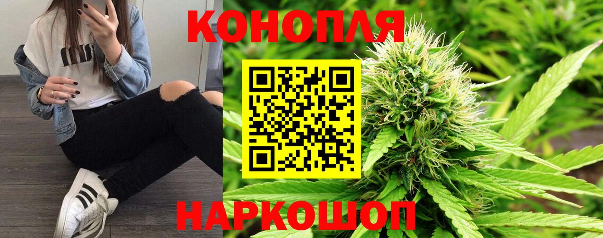 Каннабис планчик Подольск